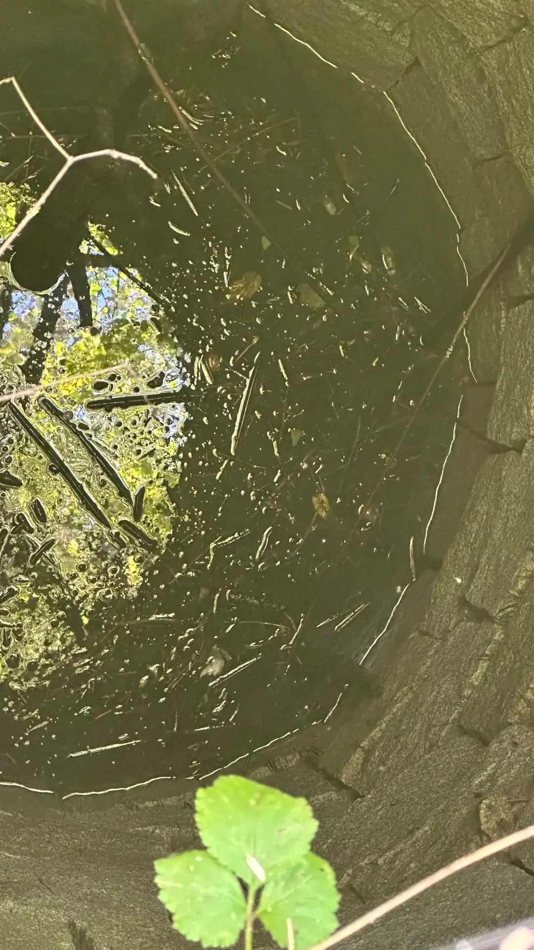 Over a century-old well at the site of the abandoned settlement Johanka — as we found it